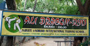 Ali Dragon Ryu